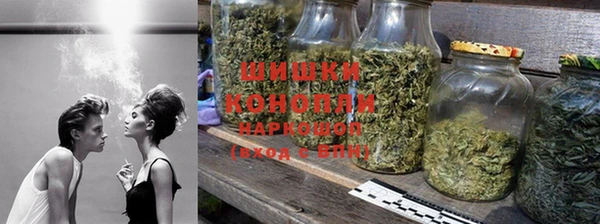 дживик Богородицк